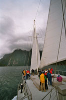 Segeln auf dem Milford Sound
